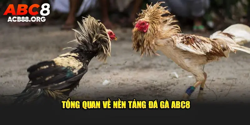 Chuyên trang đấu kê hàng đầu Việt Nam